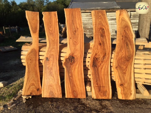 تحقیق در مورد چوب 22 ص ورد