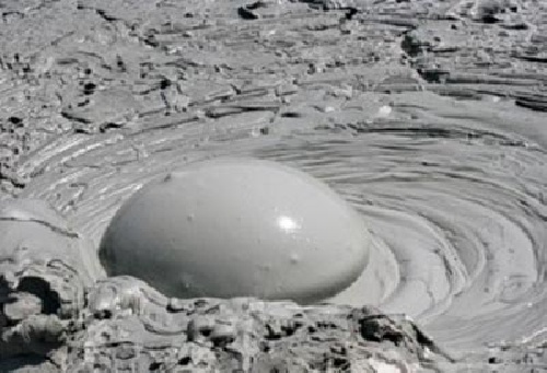 گل فشان ها 12 ص ورد