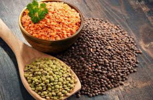 پاورپوینت عدس 27 اسلاید