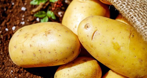 پاورپوینت سيب زميني 37 اسلاید