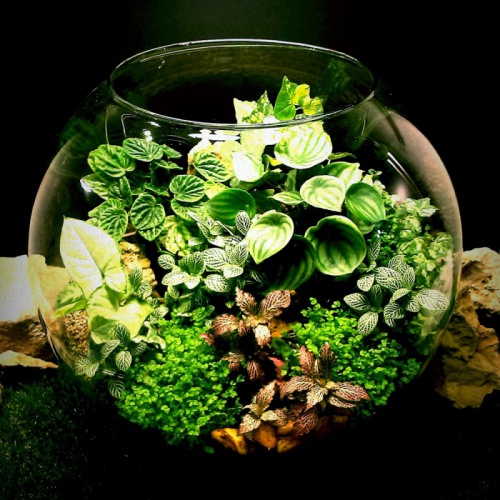 پاورپوینت تراریوم 46 اسلاید