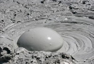 گل فشان ها 12 ص ورد